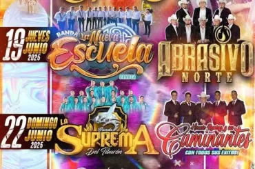 Feria San Andrés Totoltepec 2025